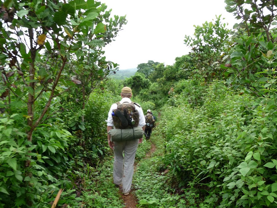Phnom Penh Hiking In Cardamom Mountain 7 Days